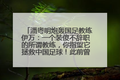 潘粤明炮轰国足教练伊万：一个装傻不辞职的所谓教练，你指望它拯救中国足球！此前曾多次发文评价国足