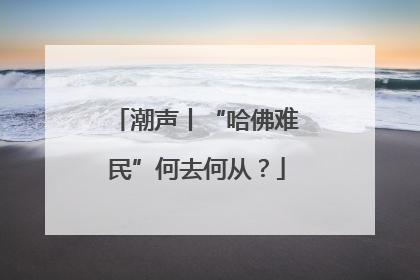 潮声丨“哈佛难民”何去何从？