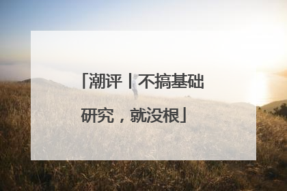 潮评丨不搞基础研究，就没根