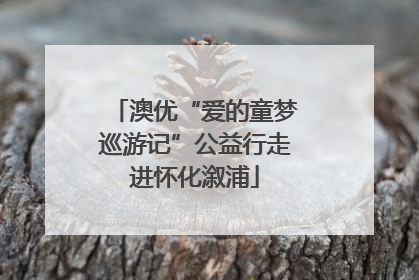 澳优“爱的童梦巡游记”公益行走进怀化溆浦