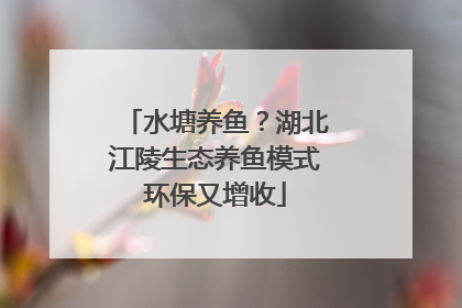 水塘养鱼？湖北江陵生态养鱼模式环保又增收