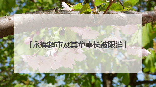 永辉超市及其董事长被限消