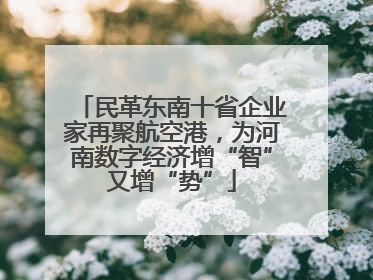 民革东南十省企业家再聚航空港，为河南数字经济增“智”又增“势”