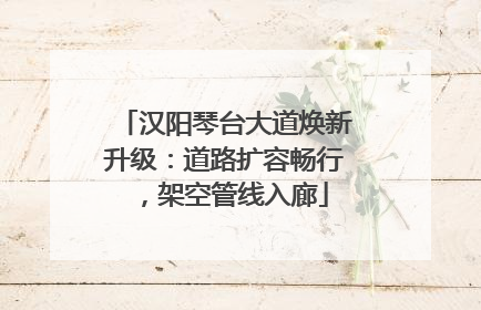 汉阳琴台大道焕新升级：道路扩容畅行，架空管线入廊
