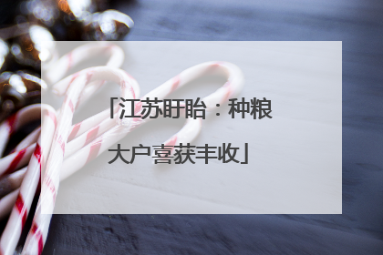 江苏盱眙：种粮大户喜获丰收