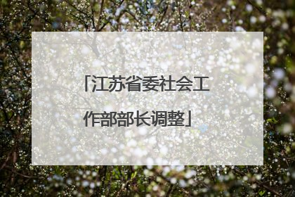 江苏省委社会工作部部长调整