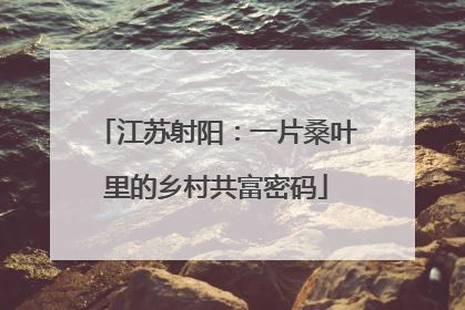 江苏射阳：一片桑叶里的乡村共富密码