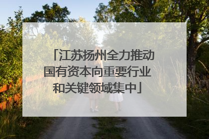 江苏扬州全力推动国有资本向重要行业和关键领域集中