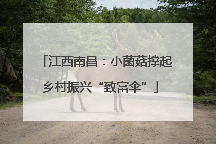 江西南昌：小菌菇撑起乡村振兴“致富伞”