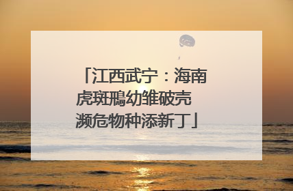 江西武宁：海南虎斑鳽幼雏破壳 濒危物种添新丁