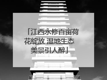 江西永修百亩荷花绽放 湿地生态美景引人醉