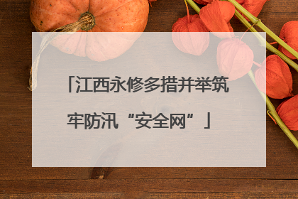 江西永修多措并举筑牢防汛“安全网”