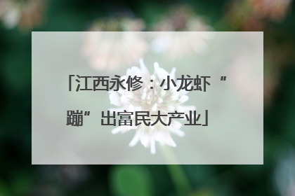 江西永修：小龙虾“蹦”出富民大产业