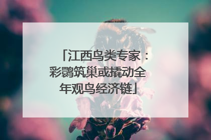 江西鸟类专家：彩鹮筑巢或撬动全年观鸟经济链