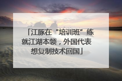 江豚在“培训班”练就江湖本领，外国代表想复制技术回国