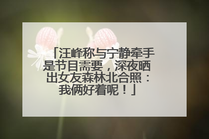 汪峰称与宁静牵手是节目需要，深夜晒出女友森林北合照：我俩好着呢！