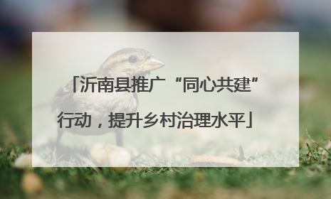 沂南县推广“同心共建”行动，提升乡村治理水平