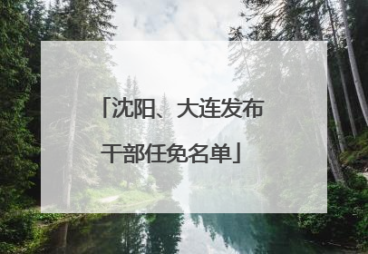 沈阳、大连发布干部任免名单