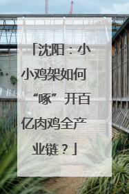 沈阳：小小鸡架如何“啄”开百亿肉鸡全产业链？