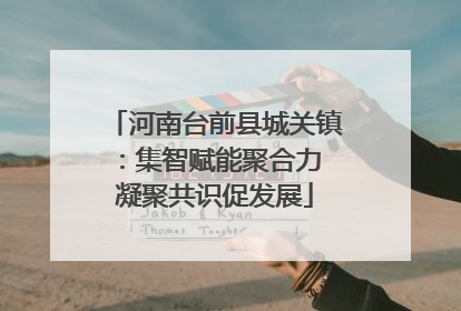 河南台前县城关镇：集智赋能聚合力 凝聚共识促发展