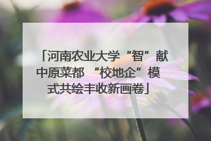 河南农业大学“智”献中原菜都 “校地企”模式共绘丰收新画卷
