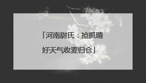 河南尉氏：抢抓晴好天气收麦归仓