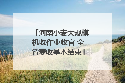 河南小麦大规模机收作业收官 全省麦收基本结束