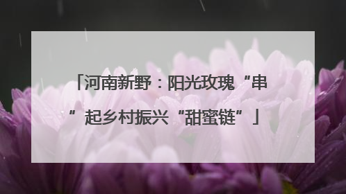 河南新野：阳光玫瑰“串”起乡村振兴“甜蜜链”