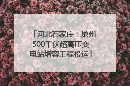河北石家庄：廉州500千伏超高压变电站增容工程投运