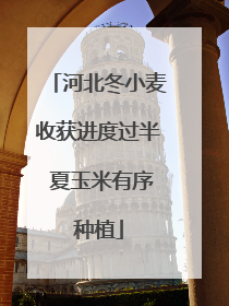 河北冬小麦收获进度过半 夏玉米有序种植