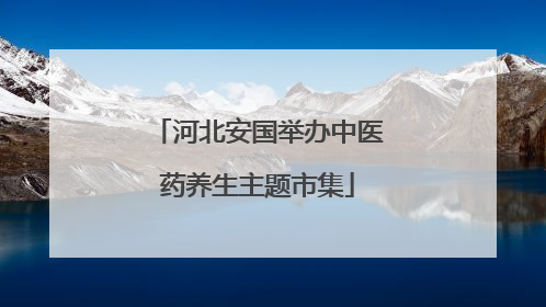 河北安国举办中医药养生主题市集