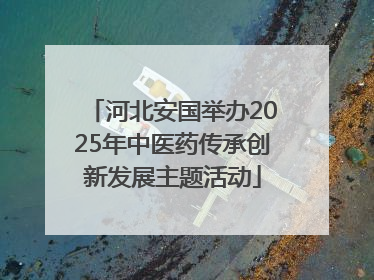 河北安国举办2025年中医药传承创新发展主题活动