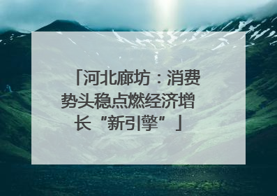河北廊坊：消费势头稳点燃经济增长“新引擎”