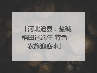 河北沧县：盐碱稻田过端午 特色农旅迎客来