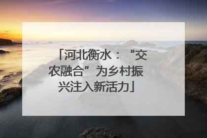 河北衡水：“交农融合”为乡村振兴注入新活力