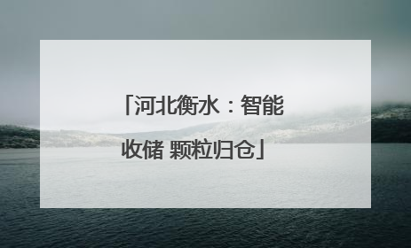 河北衡水：智能收储 颗粒归仓