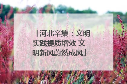 河北辛集：文明实践提质增效 文明新风蔚然成风