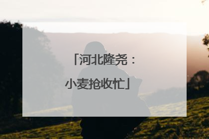 河北隆尧：小麦抢收忙