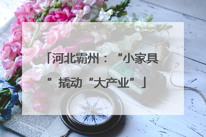 河北霸州：“小家具”撬动“大产业”
