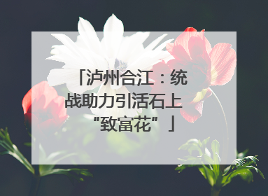 泸州合江：统战助力引活石上“致富花”