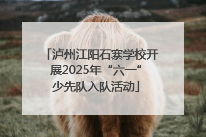 泸州江阳石寨学校开展2025年“六一”少先队入队活动