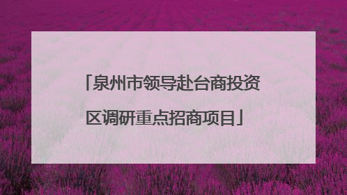 泉州市领导赴台商投资区调研重点招商项目