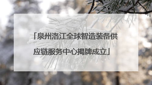 泉州洛江全球智造装备供应链服务中心揭牌成立