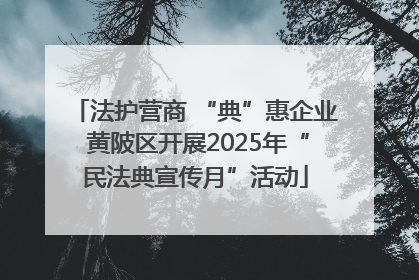 法护营商 “典”惠企业 黄陂区开展2025年“民法典宣传月”活动