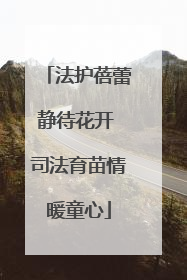 法护蓓蕾静待花开 司法育苗情暖童心