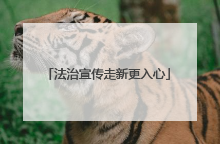 法治宣传走新更入心