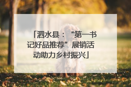 泗水县：“第一书记好品推荐”展销活动助力乡村振兴