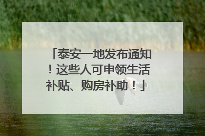 泰安一地发布通知！这些人可申领生活补贴、购房补助！