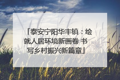 泰安宁阳华丰镇：绘就人居环境新画卷 书写乡村振兴新篇章