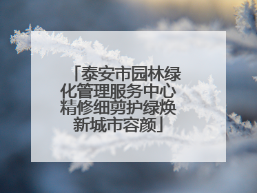 泰安市园林绿化管理服务中心精修细剪护绿焕新城市容颜